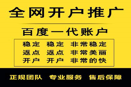 百度SEO推广案例：实战解析与优化建议